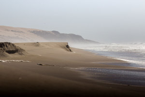 Guadelupe Dunes